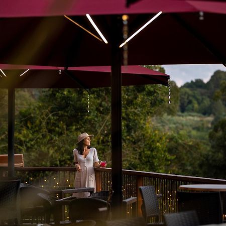 Kondalilla Eco Resort Монтвилл Экстерьер фото